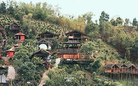 เห็ดเหลือง Hedreung banrakthai homestay&camping